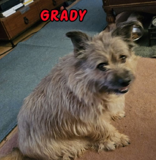 Grady photo 2