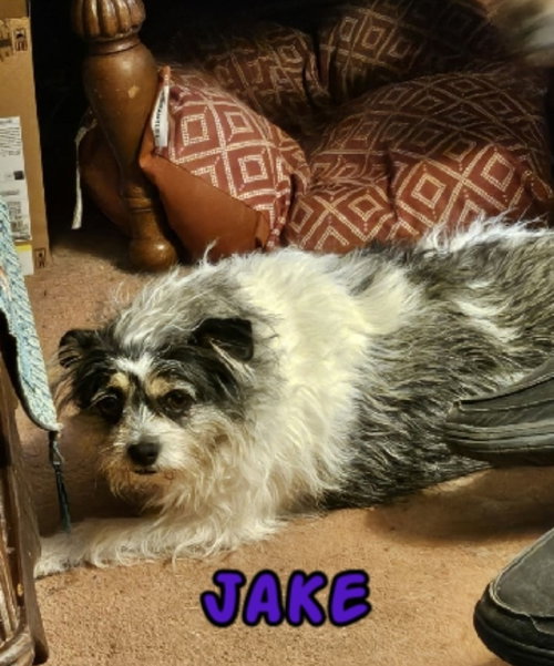 Jake