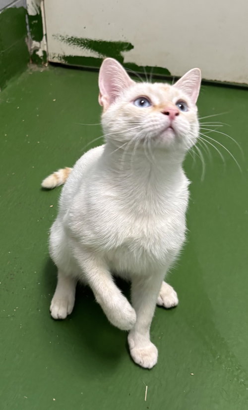 Photo 2 of The Colonel: At shelter