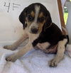 Autumn Juliet. At shelter, av 8/15 - Photo 1