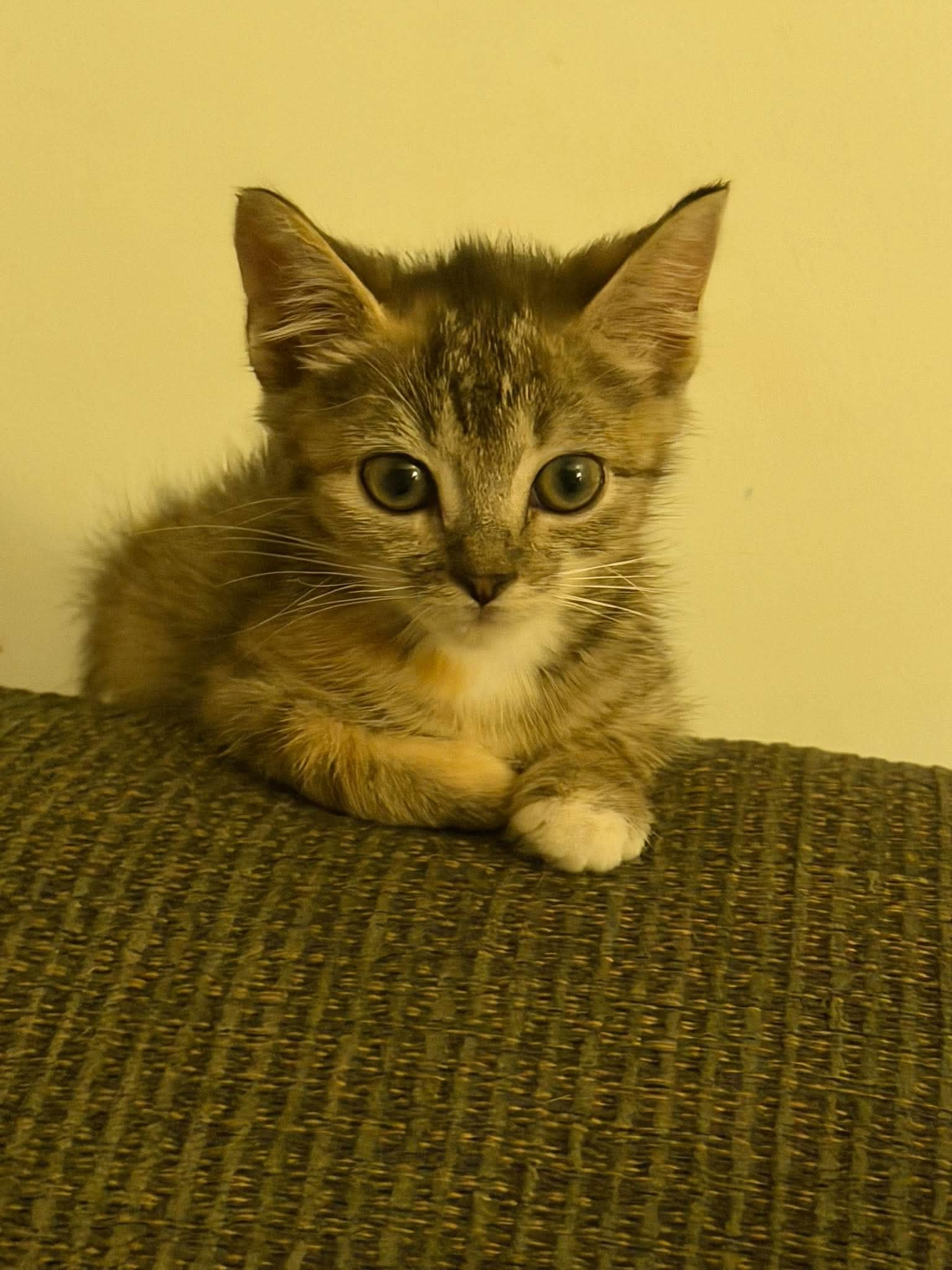 Cruz-Not At The Shelter Jen