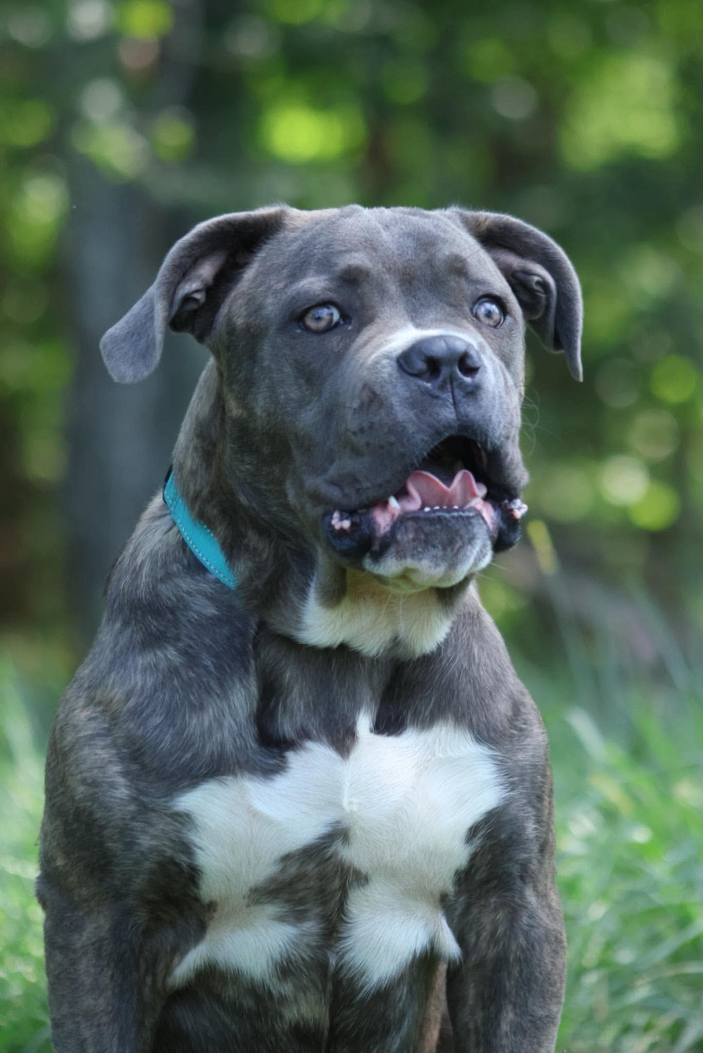 Balder Not At Shelter Alan