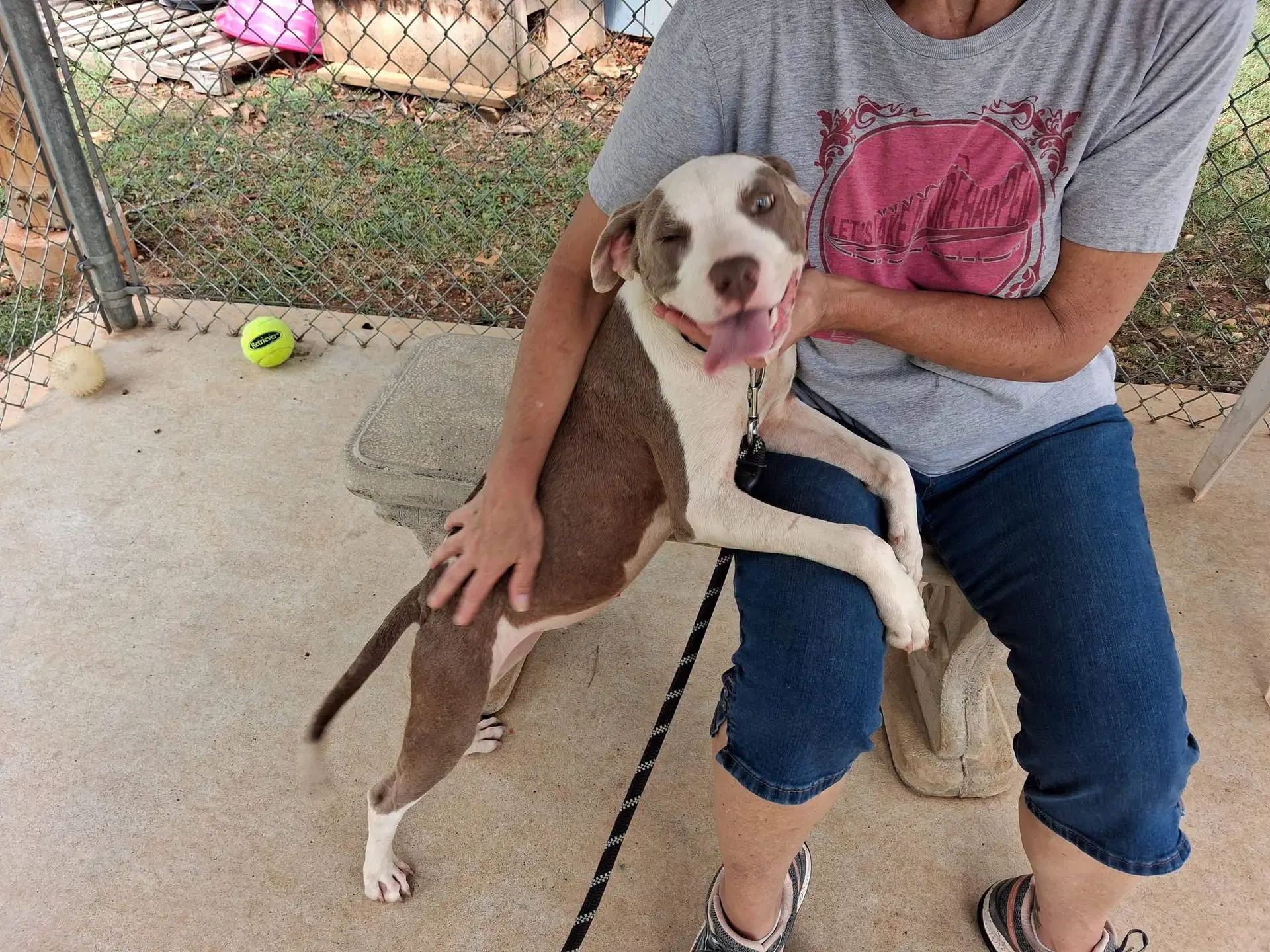 Vanna - At Shelter Available image 4