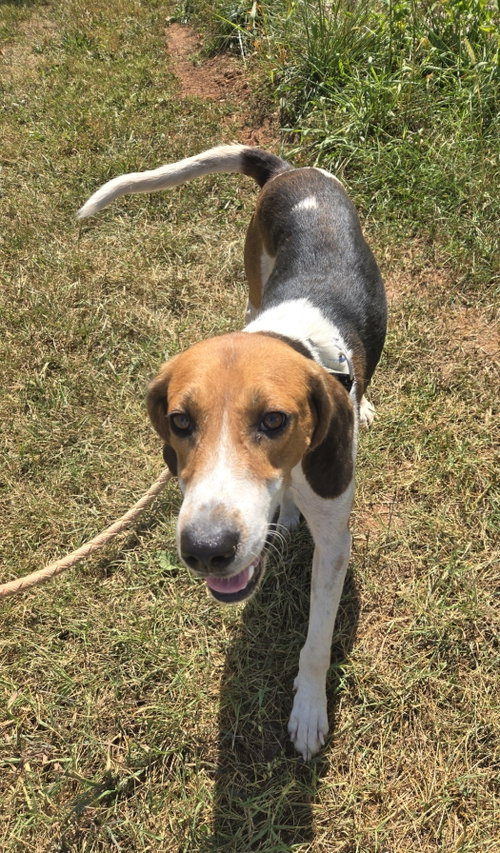 Photo 4 of Mitchell: At shelter