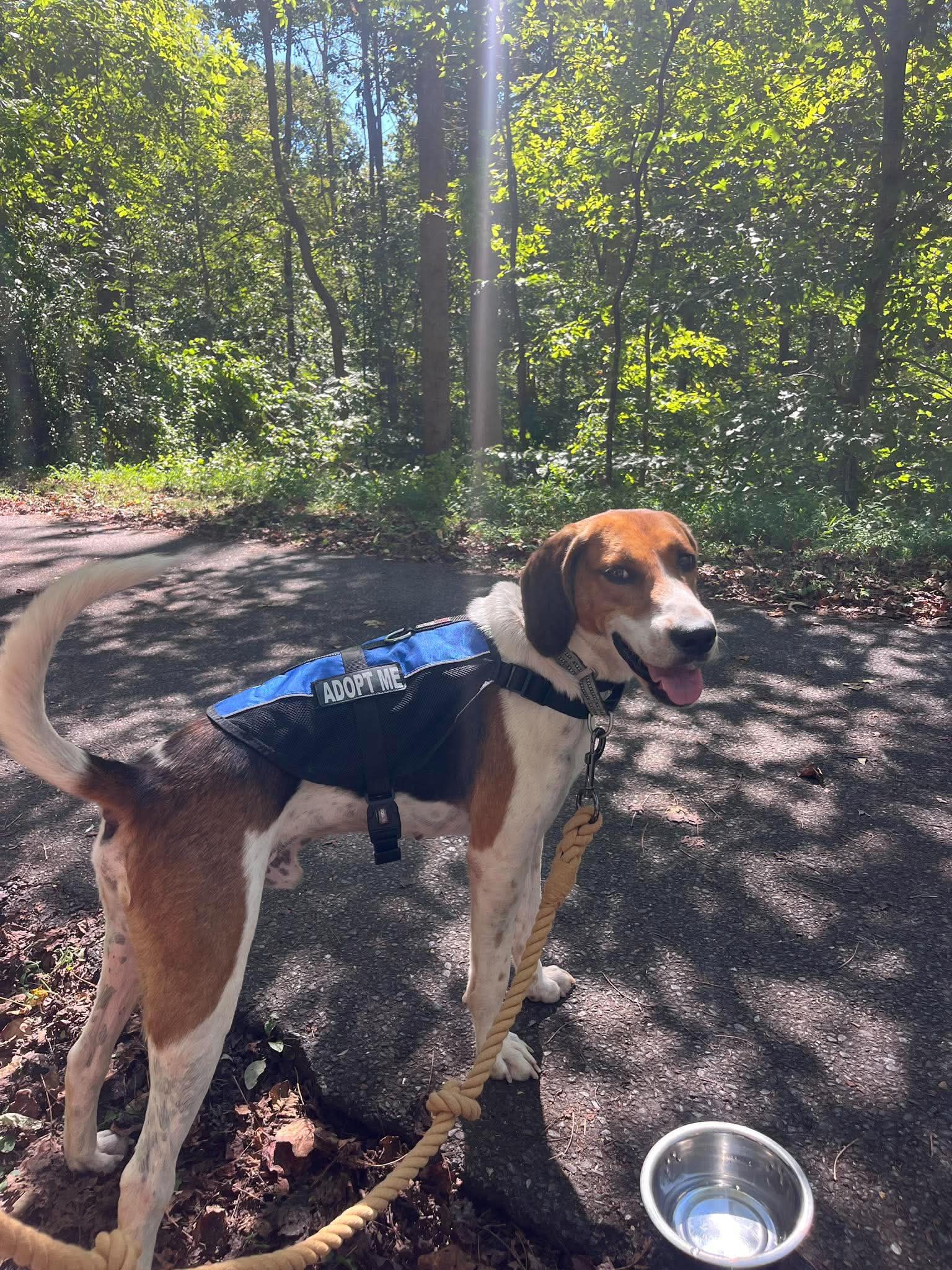 Mitchell At Shelter