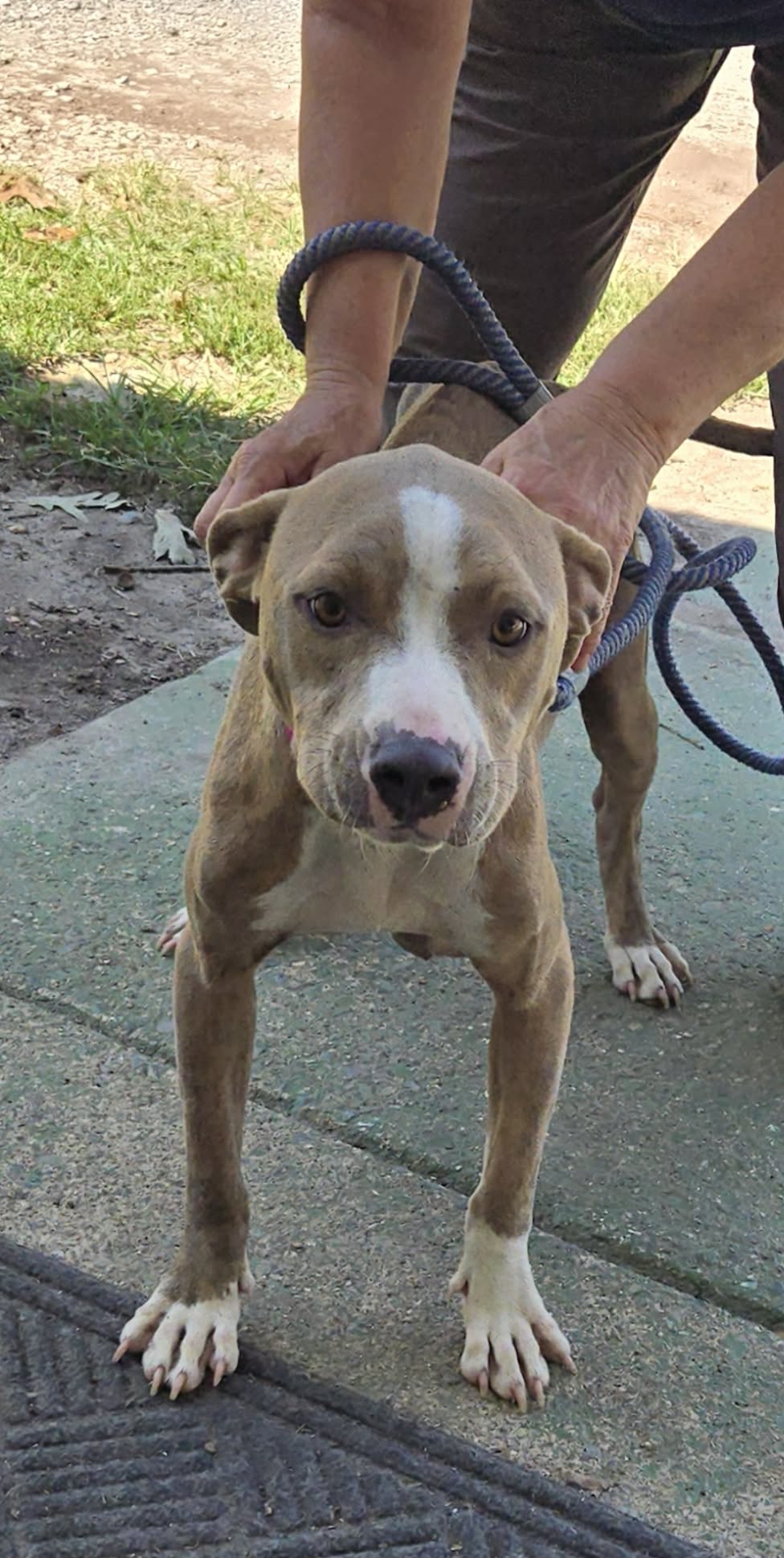 Valley - At Shelter Available