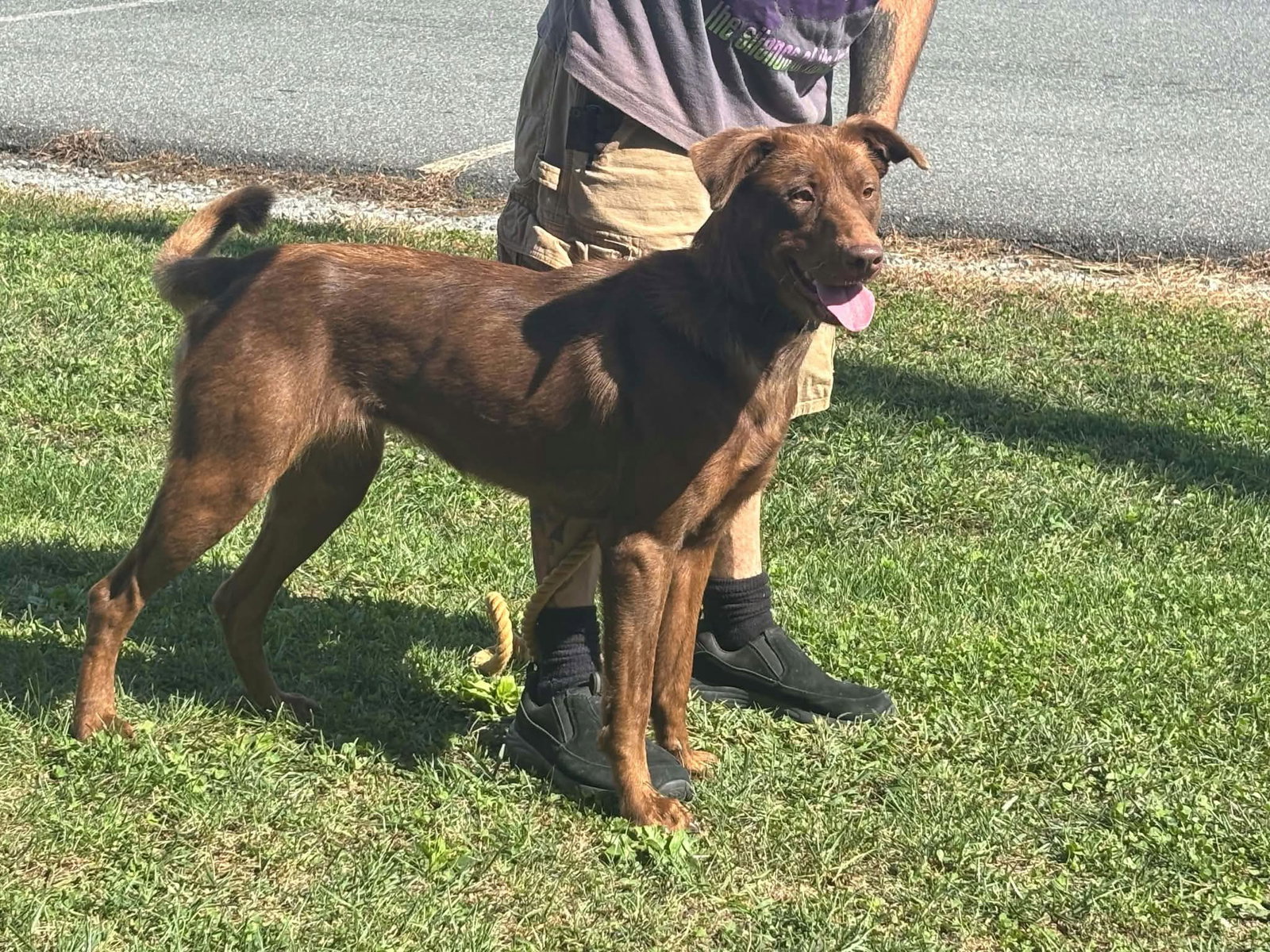 Mechanic: At shelter, photo 4