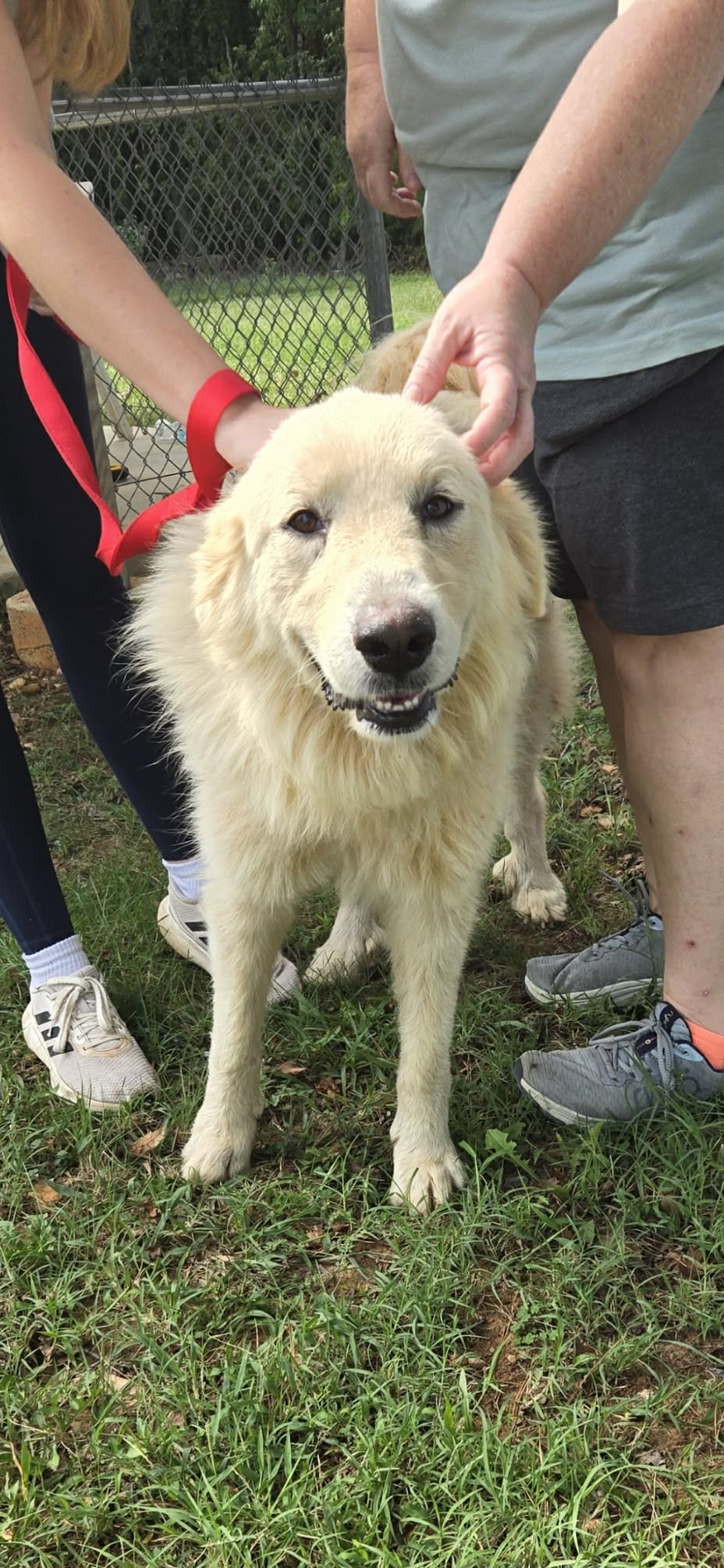 Zita, aka "Pat:" Not at shelter (Tifany)