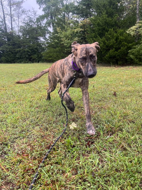 Photo 6 of Wiley: At shelter