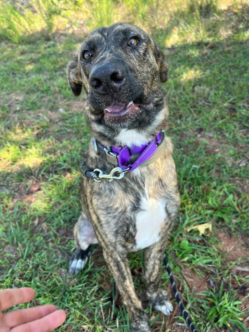 Photo 5 of Wiley: At shelter