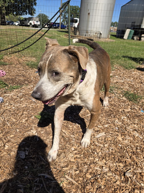 Photo 3 of Walter: At shelter
