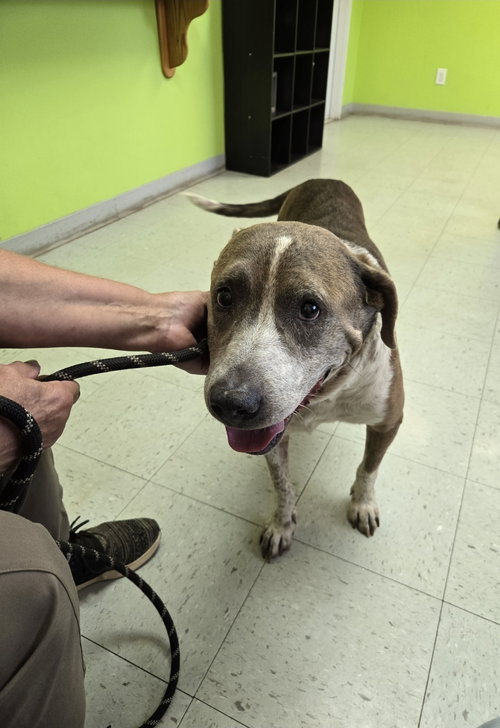 Photo 4 of Walter: At shelter