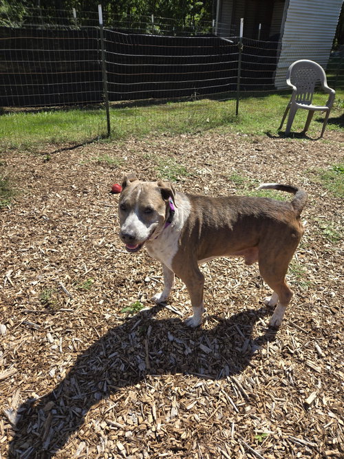 Photo 6 of Walter: At shelter