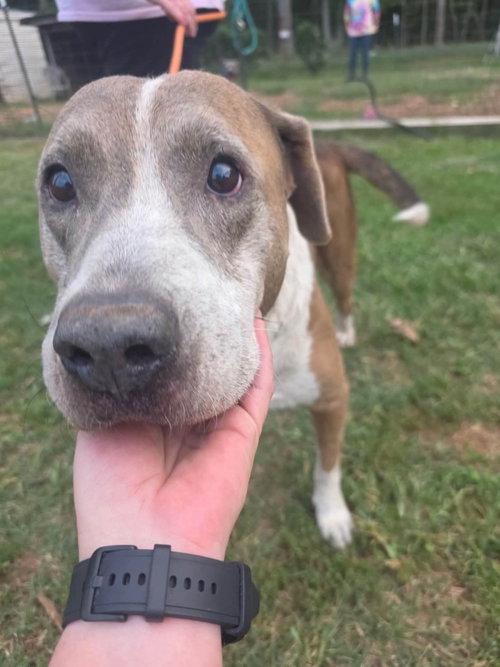 Photo 5 of Walter: At shelter