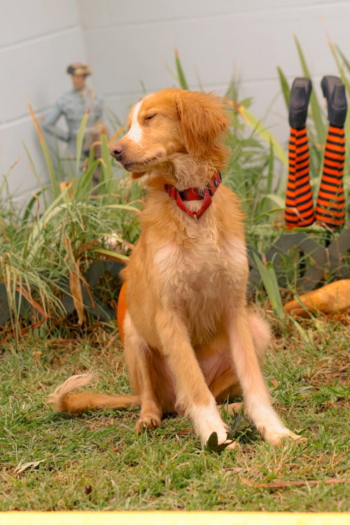 Photo 2 of Gobi: At shelter