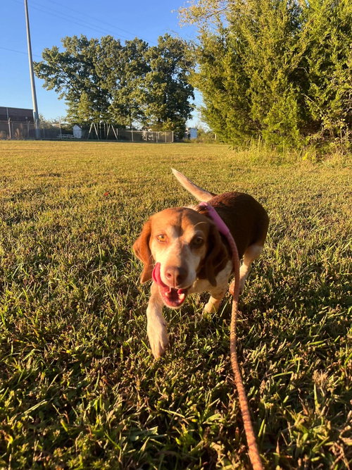 Photo 2 of Plum: At shelter