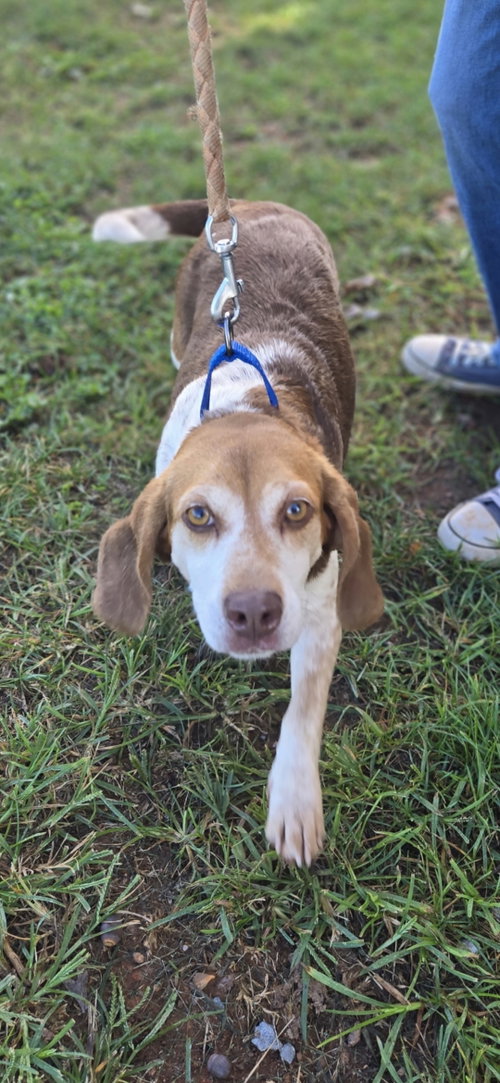 Photo 3 of Plum: At shelter
