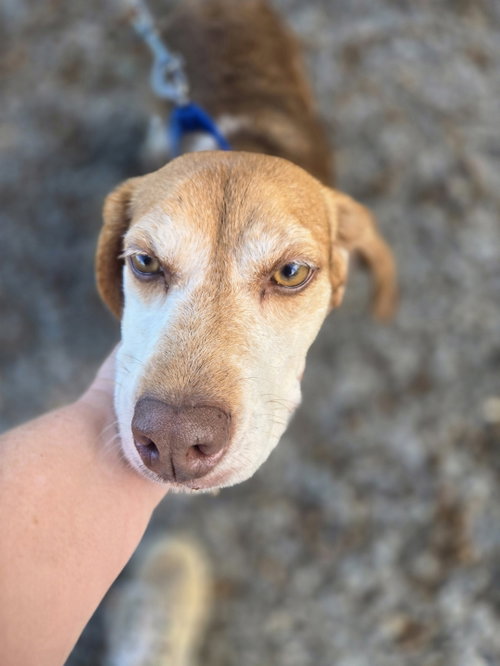 Photo 4 of Plum: At shelter