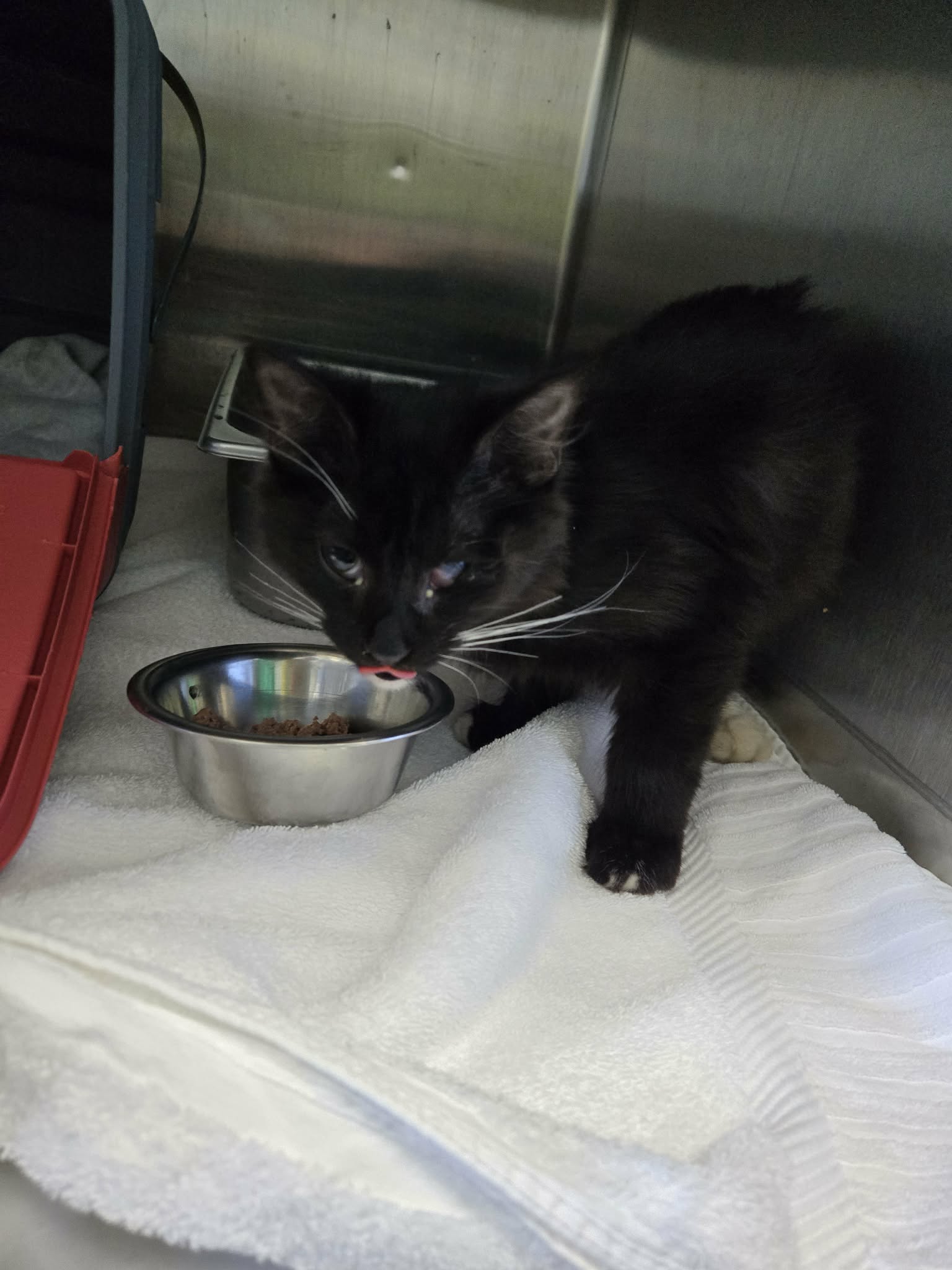 Coal - At Shelter