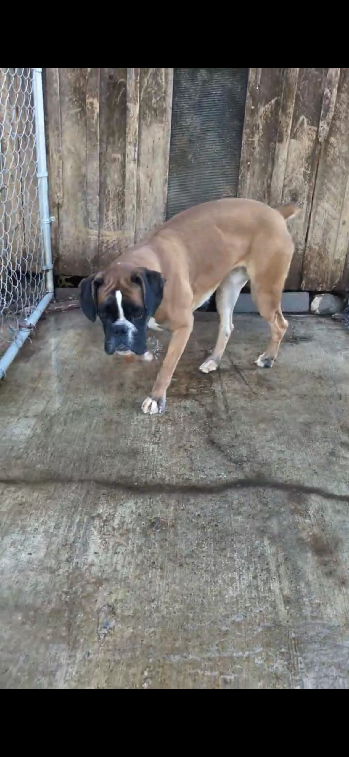 Salt Reference Salt: Not at the shelter's Web Page
