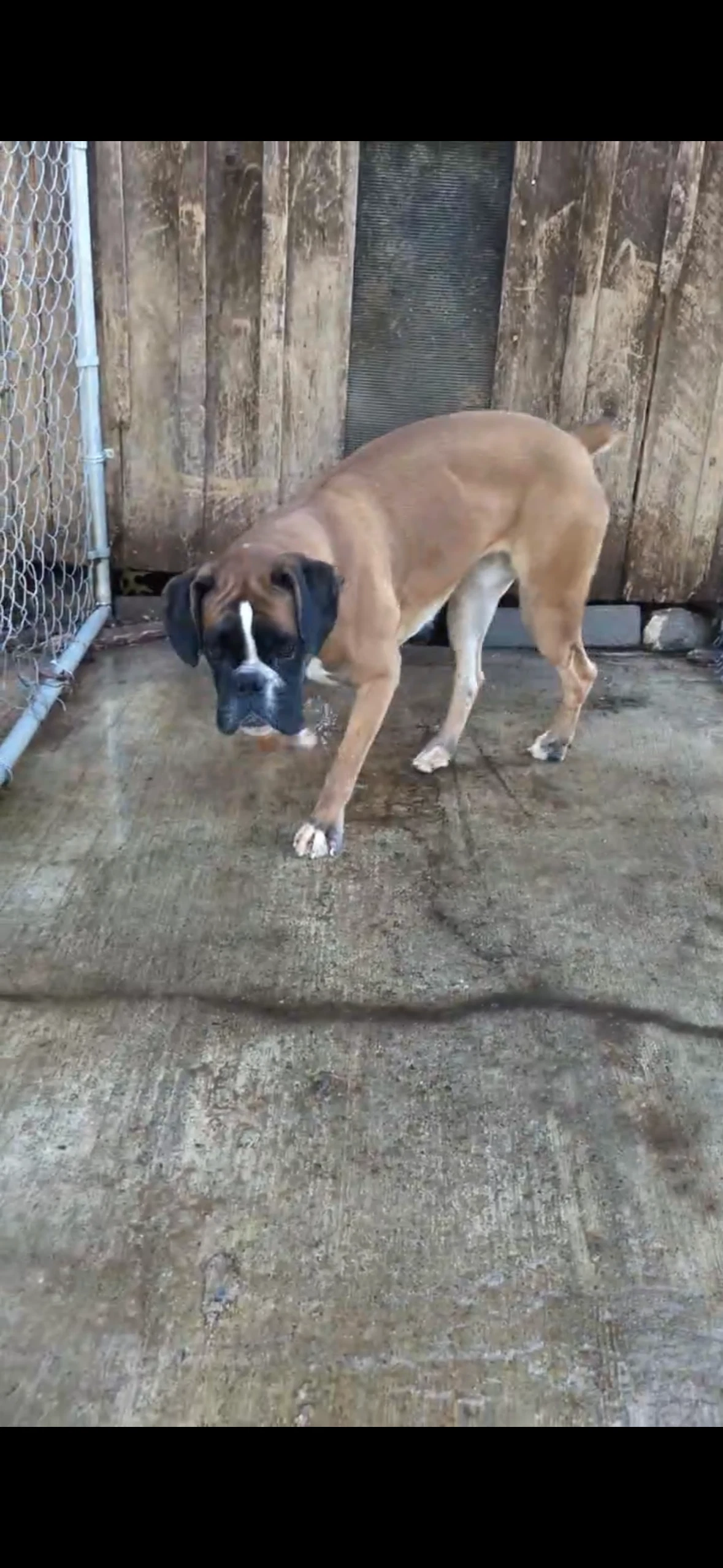 Salt Not At The Shelter