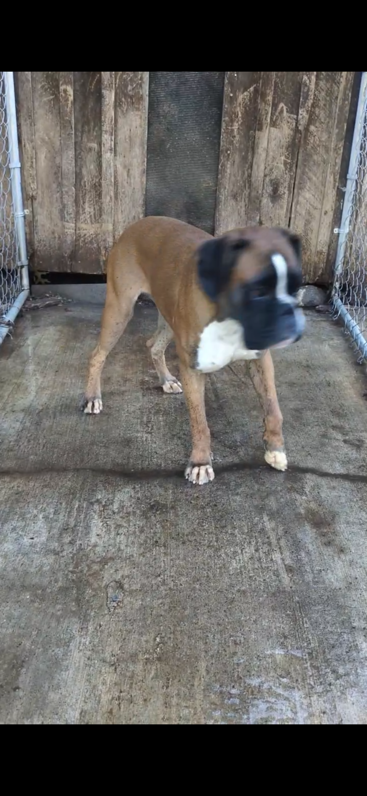 Salt: Not at the shelter, photo 2