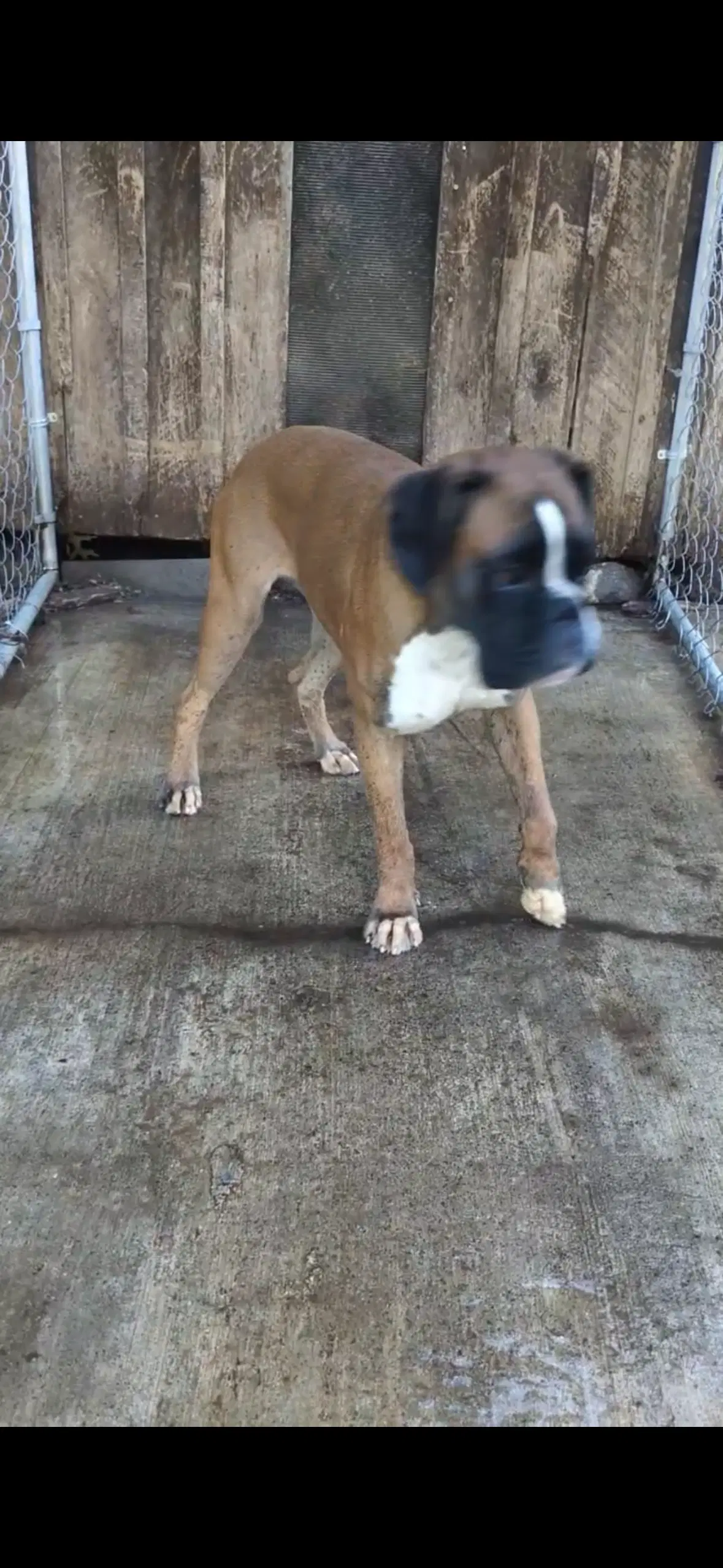 Salt Not At The Shelter image 2