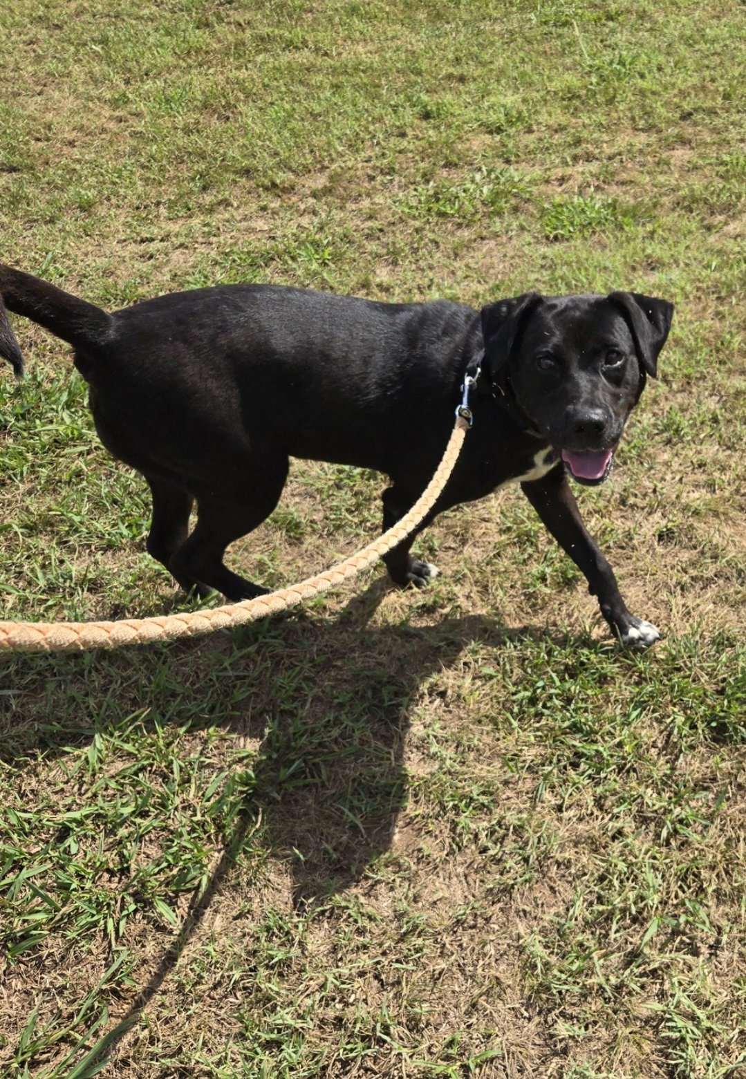 Claire: At the Shelter, photo 5