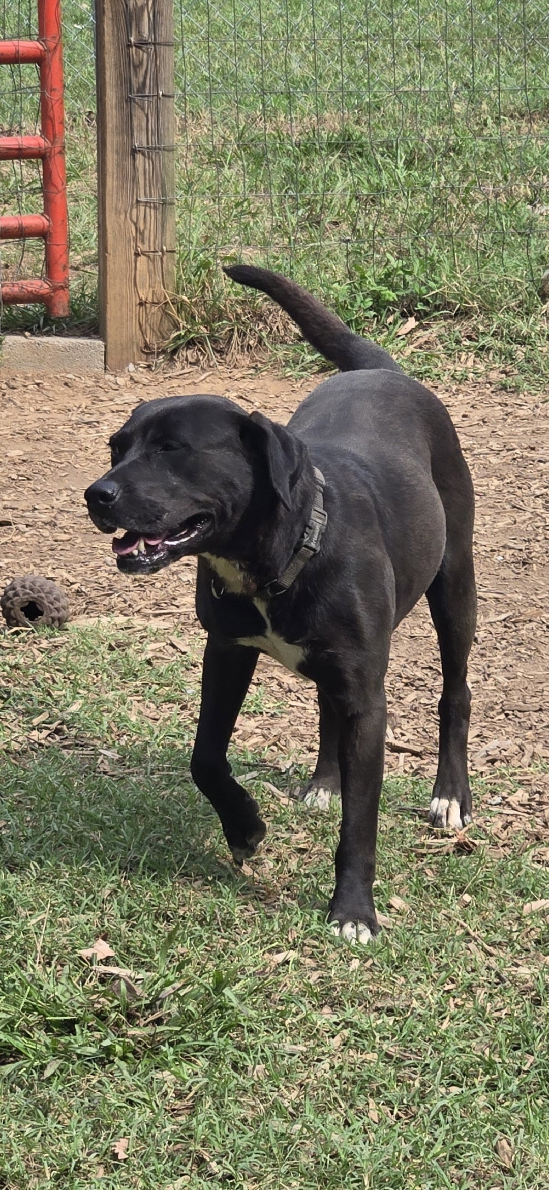 Claire: At the Shelter, photo 7