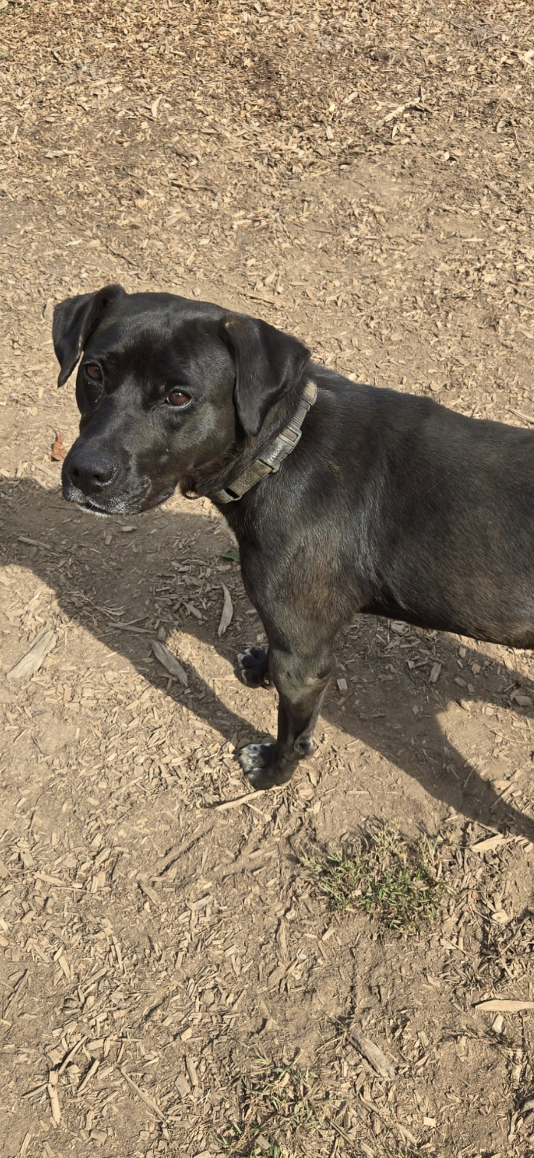 Claire: At the Shelter, photo 8