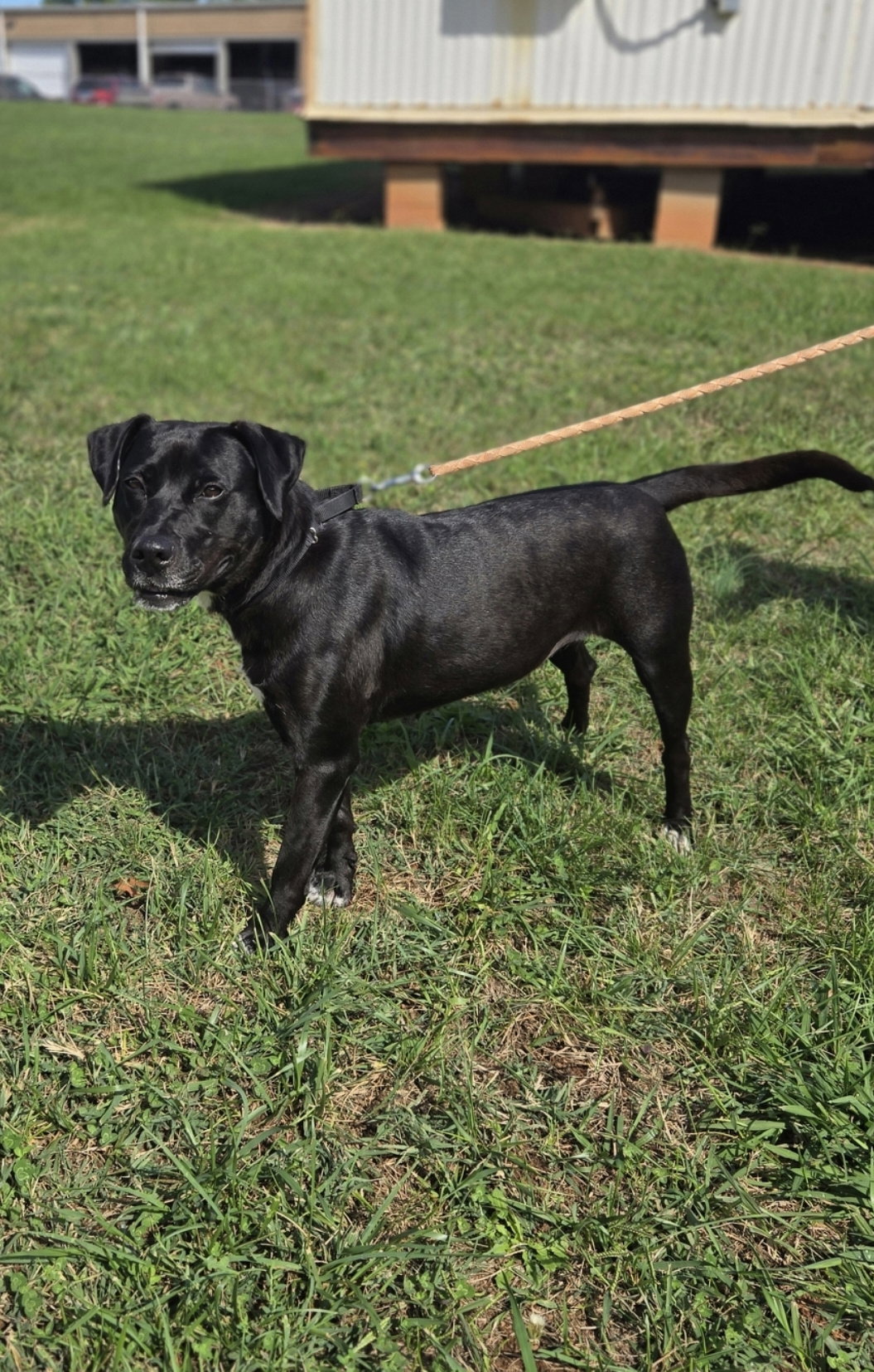 Claire: At the Shelter, photo 9