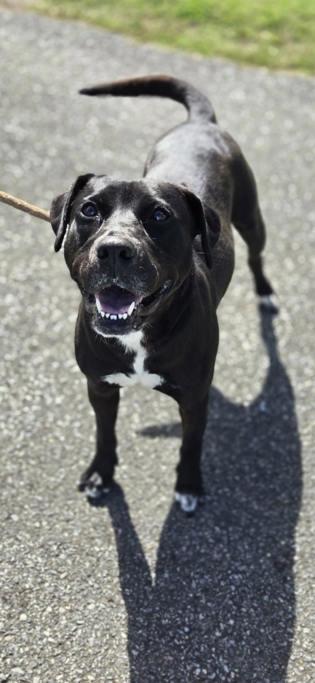 Claire: At the Shelter, photo 10
