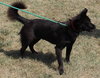 Dorie: Fostered