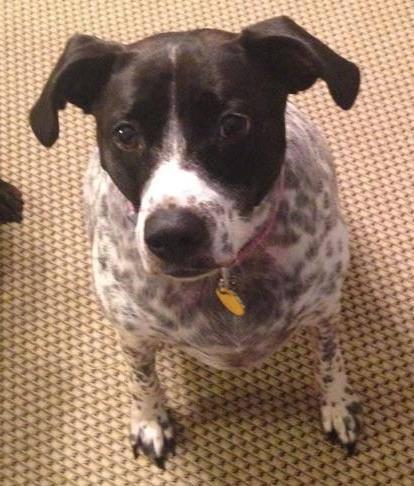Mattie: Fostered