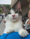 Prince & Ryne - Fostered