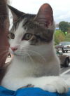 Prince & Ryne - Fostered
