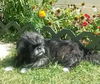 Princess Phoebe: Reclaimed!
