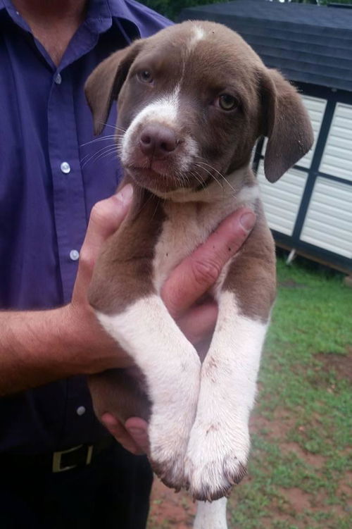 Eleanor: Fostered