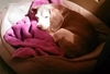 Holly: fostered