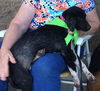 Pretty Girl : Fostered