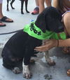 Pretty Girl : Fostered