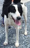 Cowboy:RESCUE PENDING