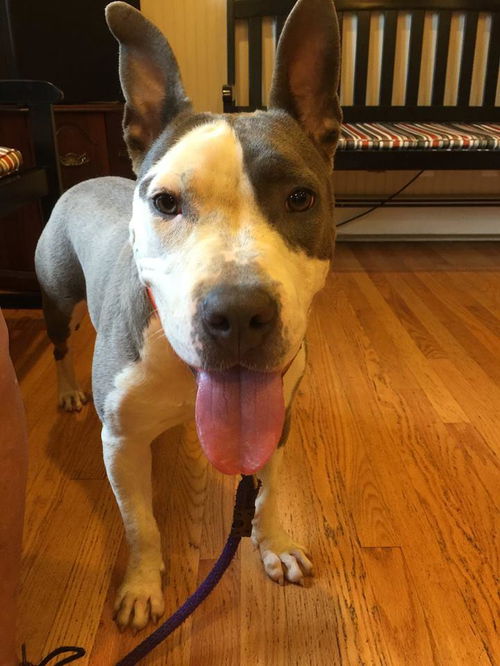 Cassie: URGENT!