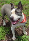 Cassie: URGENT!