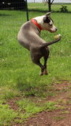 Cassie: URGENT!