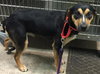 Cuddles: Reclaimed!