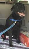 Remi: Fostered