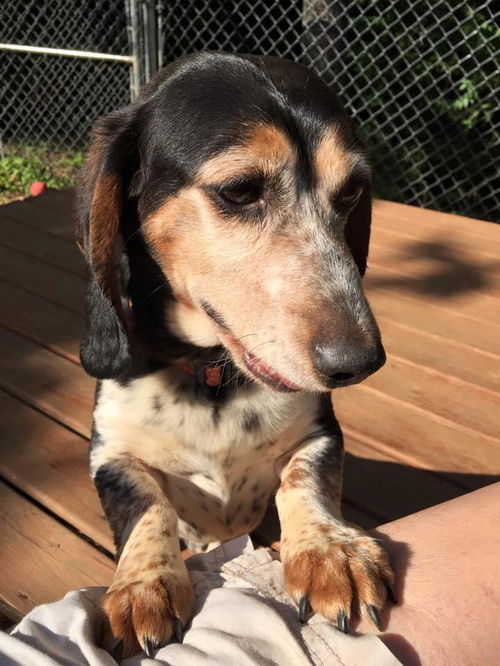 Winston: Fostered