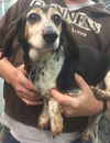 Winston: Fostered