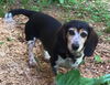Winston: Fostered